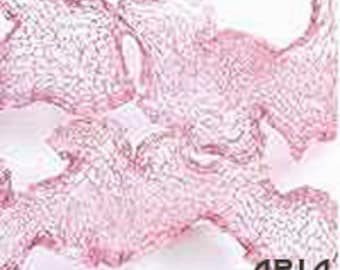 ITALIAN WIRE MESH: 6mm Light Pink Italian Wire Mesh Ribbon 3 yard spool (9 feet / 108 inches)