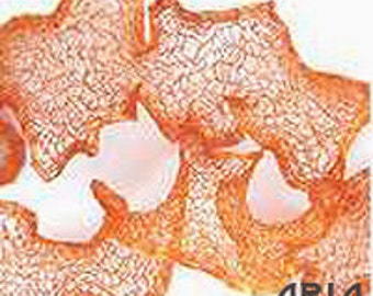 ITALIAN WIRE MESH: 6mm Tangerine Italian Wire Mesh Ribbon 3 yard spool (9 feet / 108 inches)