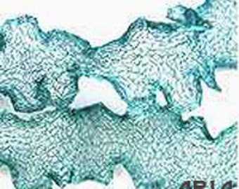 ITALIAN WIRE MESH: 6mm Teal Italian Wire Mesh Ribbon 1 Yard Length (3 Feet)