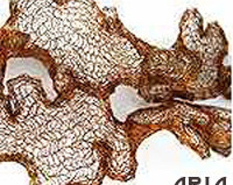 ITALIAN WIRE MESH: 6mm Antique Copper Italian Wire Mesh Ribbon 1 Yard Length (3 Feet)