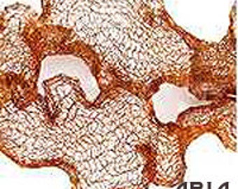 ITALIAN WIRE MESH: 6mm Rust Italian Wire Mesh Ribbon 1 Yard Length (3 Feet)