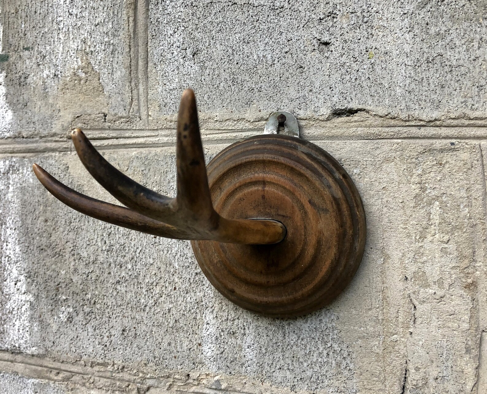 Wall Hook Moose Horn Elk horn Vintage Wood Horn Coat Hook Peg Etsy