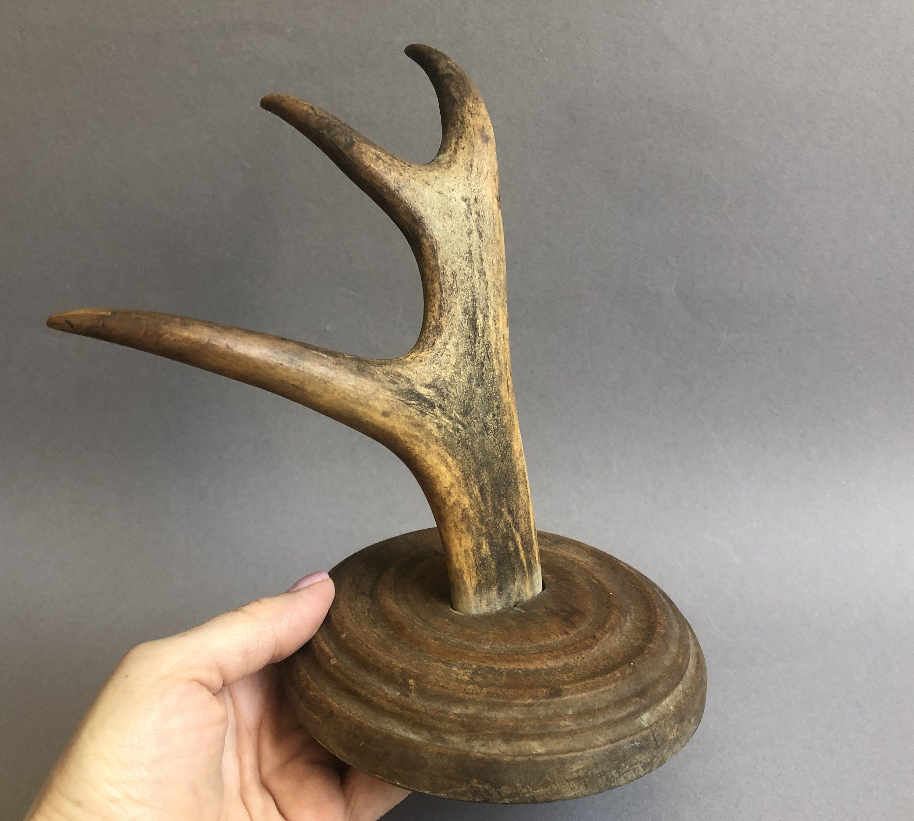 Wall Hook Moose Horn Elk horn Vintage Wood Horn Coat Hook Peg Etsy