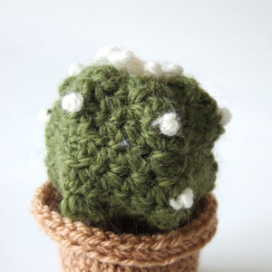 Amigurumi: cactus crochet. Peyotl. Un jardin exotique éternel image 1