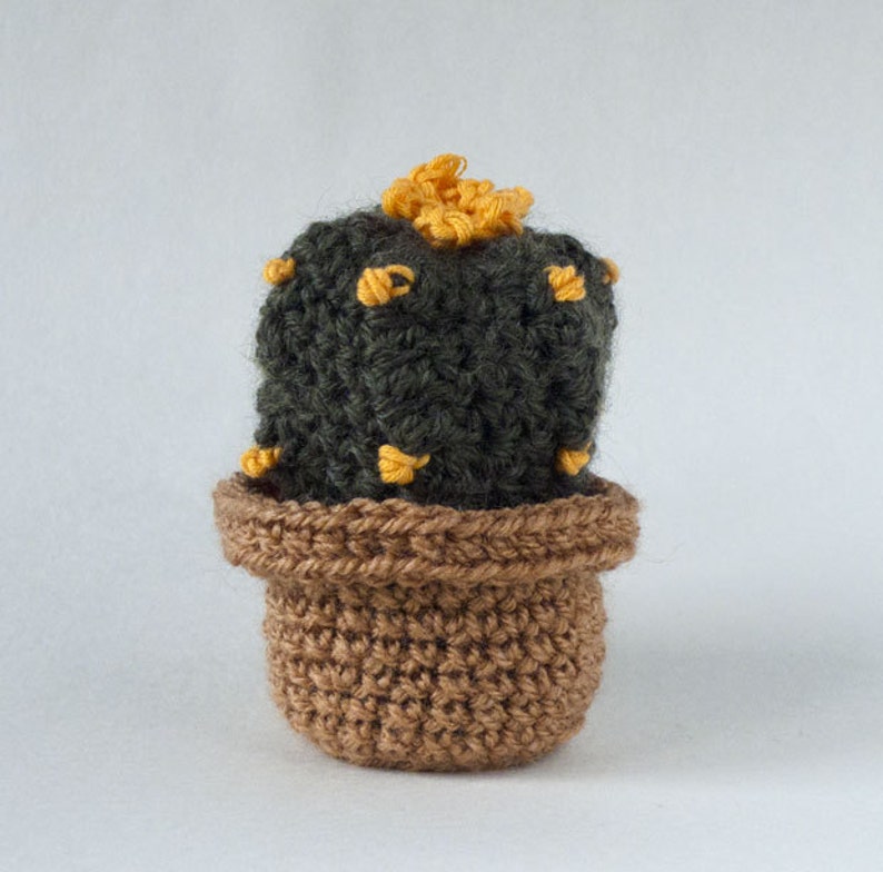 Amigurumi: cactus crochet. Peyotl. Un jardin exotique éternel image 4