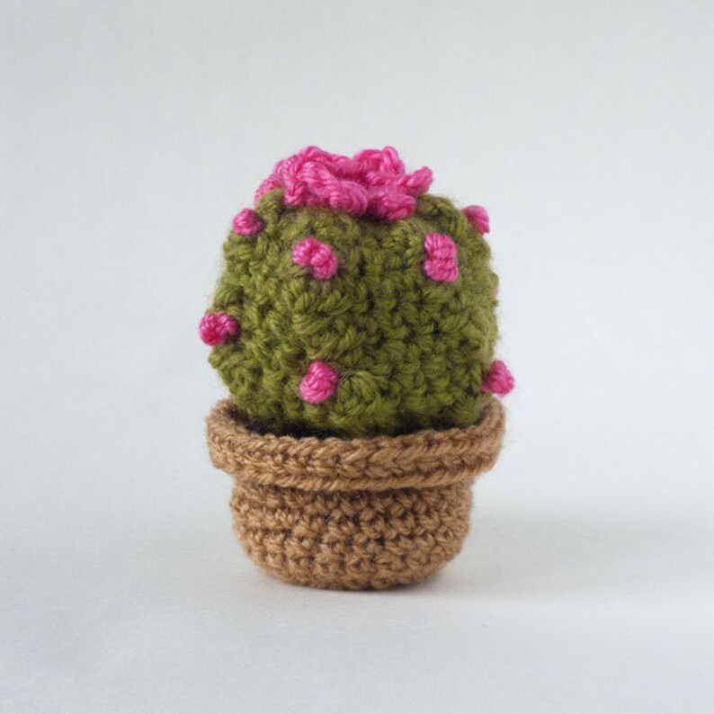 Amigurumi: cactus crochet. Peyotl. Un jardin exotique éternel image 3