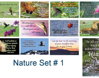 Pass Alongs Scripture Cards - Set of 24 cards with encouraging verses - Dogs, Nature, Cats Variety