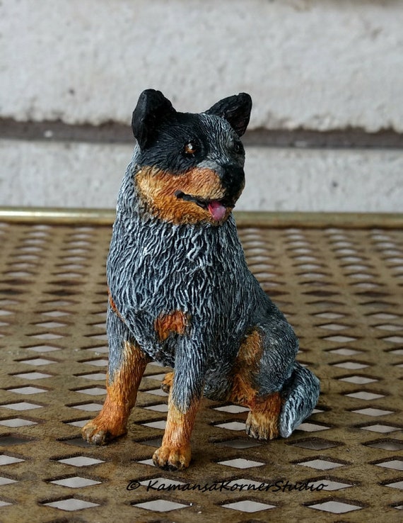 mini australian cattle dogs