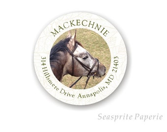 Horse address labels stickers, Address Labels with horse, Gift for Horse Owner, Horse address stamps