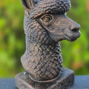 May include: A bronze-colored alpaca bust sculpture. The alpaca has detailed fur texture and a square base. The sculpture is set against a blurred green background, suggesting an outdoor setting. The alpaca's head is turned to the side.