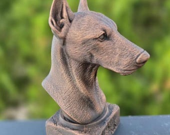 May include: A bronze-colored sculpture of a Doberman Pinscher dog's head and neck. The dog's head is turned slightly to the right, with detailed features including pointed ears and a long snout. The sculpture sits on a square base.