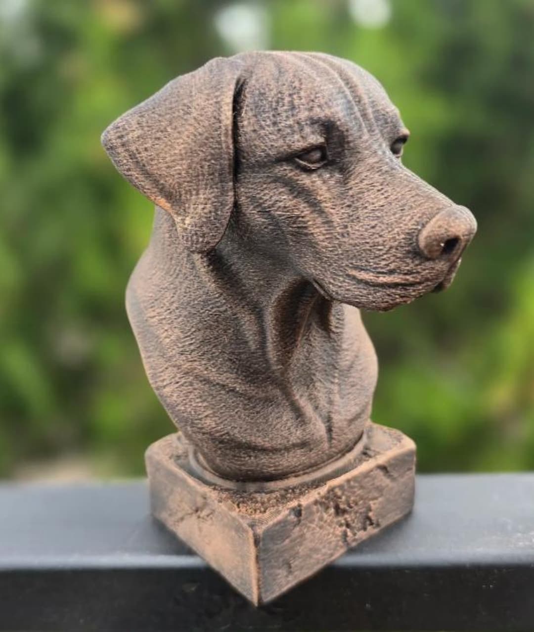 Rhodesian Ridgeback Bust on a Cracked Stone Base Home Decor, Statue ...