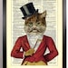 Miss Kitty