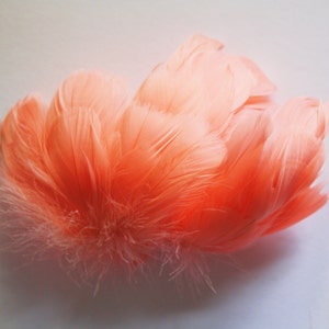 Coral Pink Goose Coquille Feathers. 2 Inches Strip Jam Packed.