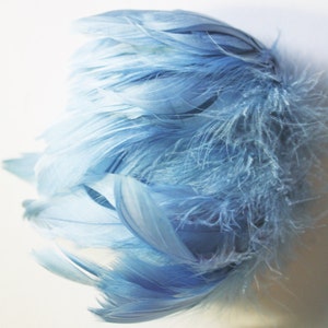 Blue Goose Coquille Feathers. 2 Inches Strip Jam Packed.