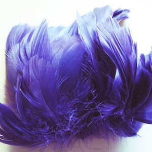 Electric Blue Goose Coquille Feathers. 2 Inches Strip Jam Packed.
