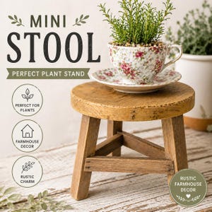 May include: A small, rustic wooden stool with a round top and three legs. A floral teacup and saucer hold a small plant. The text on the image reads "MINI STOOL" and "PERFECT PLANT STAND".