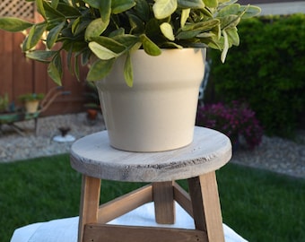 Farmhouse Plant Stand Stool - Rustic Wood Riser, Off-White Accent
