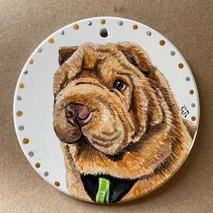 Custom Hand Painted Pet Ornaments