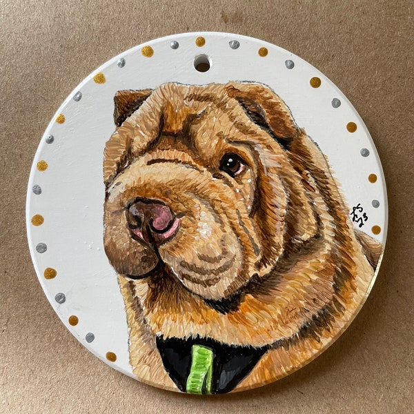 Custom Hand Painted Pet Ornaments