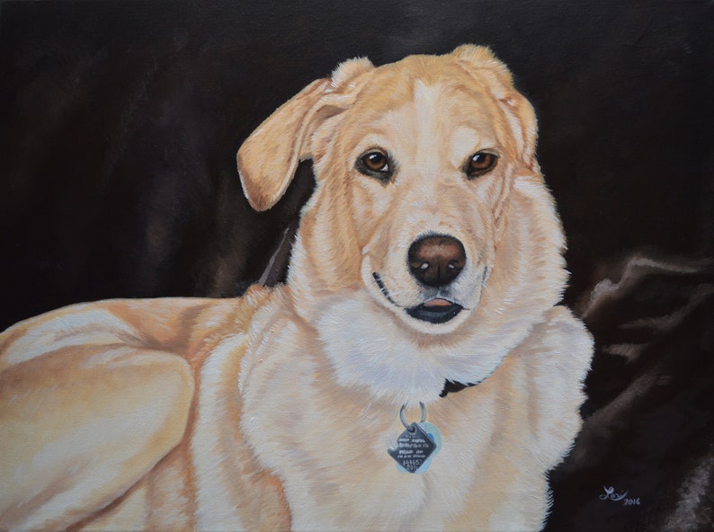 100 HANDPAINTED Pet Portrait Oil Painting on Canvas Not Etsy