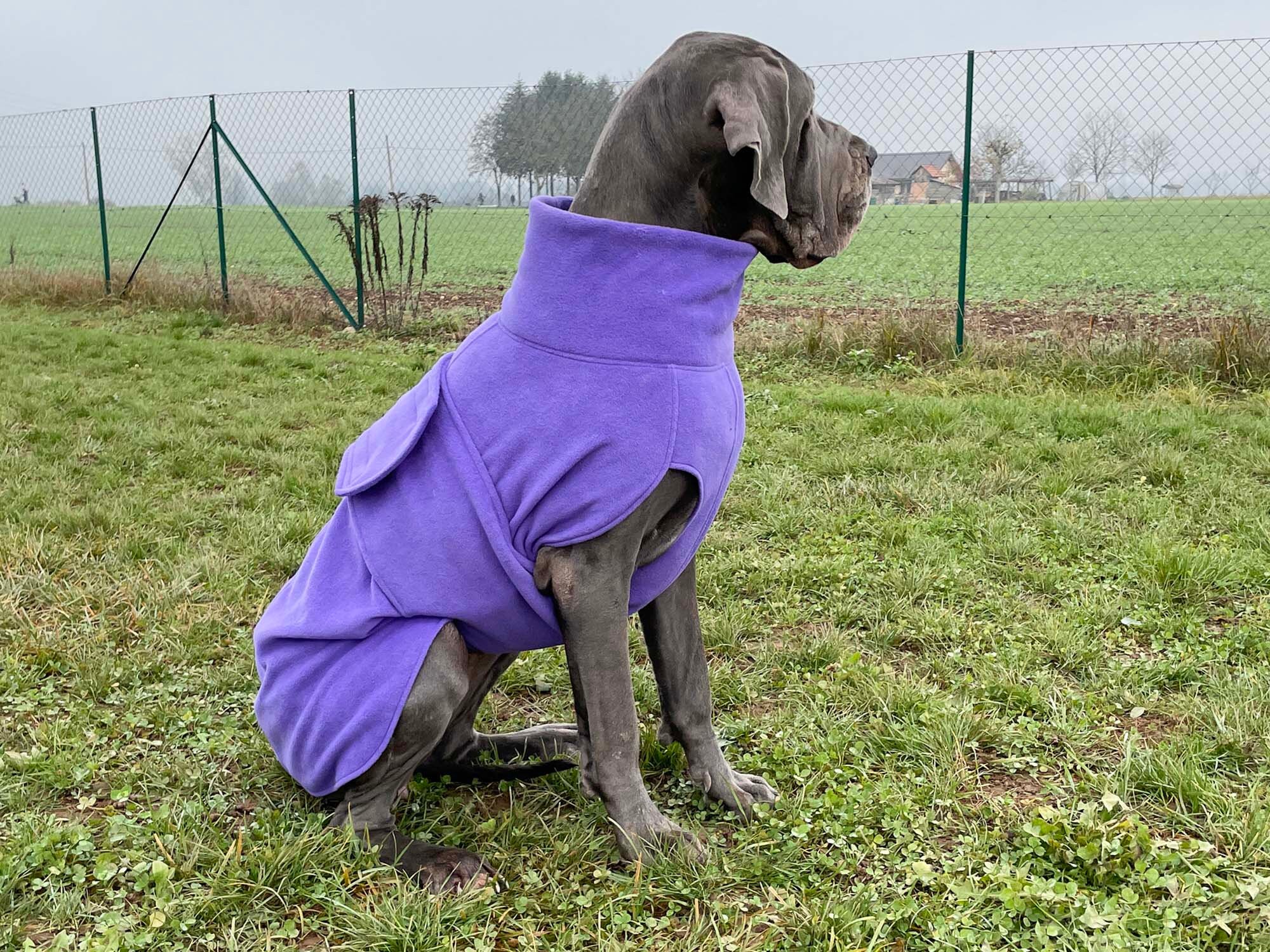 Manteau Dogue Allemand Manteau polaire Dogue allemand Trench coat pour chien Vetements polaires pour chien Vetements printemps automne pour chien Etsy France