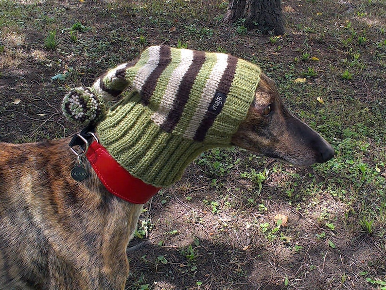 Greyhound Hat / Italian Greyhound Hat / Greyhound Snood / Dog Etsy