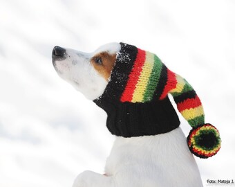 Dog Hat / Hand Knit Dog Hat / Rasta Hat