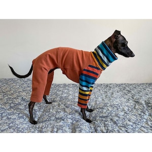 Italian Greyhound Raglan Pajamas, Iggy Spring Pajamas, Iggy Spring Clothing