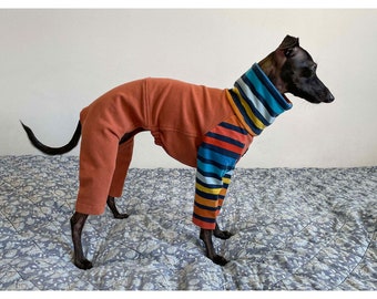 Italian Greyhound Raglan Pajamas, Iggy Spring Pajamas, Iggy Spring Clothing