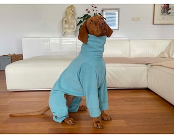 Vizsla Dog Pajamas – Micro Fleece, Slim and Regular Fit
