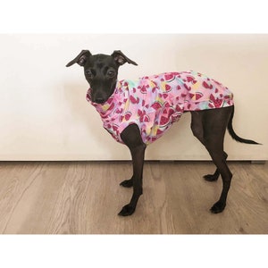 Italian Greyhound Shirt, Italian Greyhound Tank Top, Italian Greyhound Indoor Shirt, Summer Dog Clothing, Autumn/Spring Dog Outfit