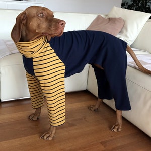 vizsla sweater