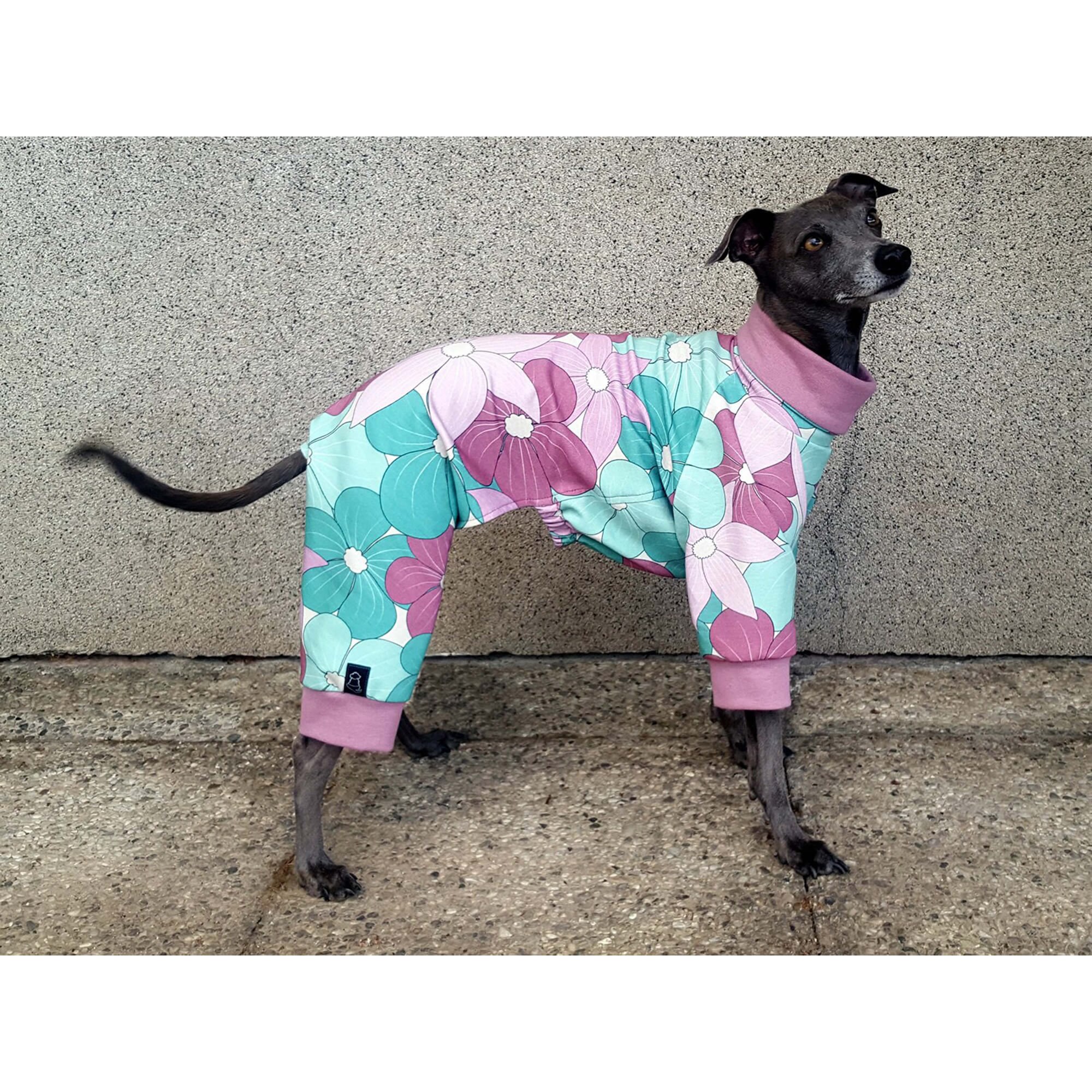 Italian Greyhound Pajamas Italian Greyhound Summer Pajamas Dog Summer Pajamas Dog Sweat Pajamas Dog Retro Pajamas Etsy Canada