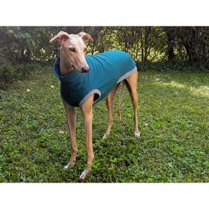 Greyhound Sweatshirt,  Galgo SweatShirt, Dog Sleeveless Shirt, Dog Clothing, Dog Outfit, Summer Dog Shirt
