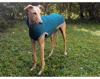 Greyhound Sweatshirt,  Galgo SweatShirt, Dog Sleeveless Shirt, Dog Clothing, Dog Outfit, Summer Dog Shirt