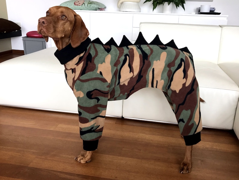 Vizsla Pajamas/ Vizsla Fleece Pajamas / Dinosaur Dog Pajamas / Etsy