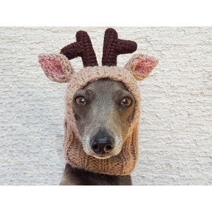 Reindeer Dog Hat, Reindeer Dog Snood, Christmas Dog Hat, Dog Hat, Hand Knit Dog Hat