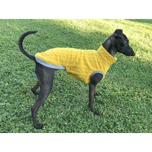 Italian Greyhound Shirt, Italian Greyhound Sweatshirt, Italian Greyhound Sweater, Cable Dog Sweater, Spring/Autumn Dog Clothing