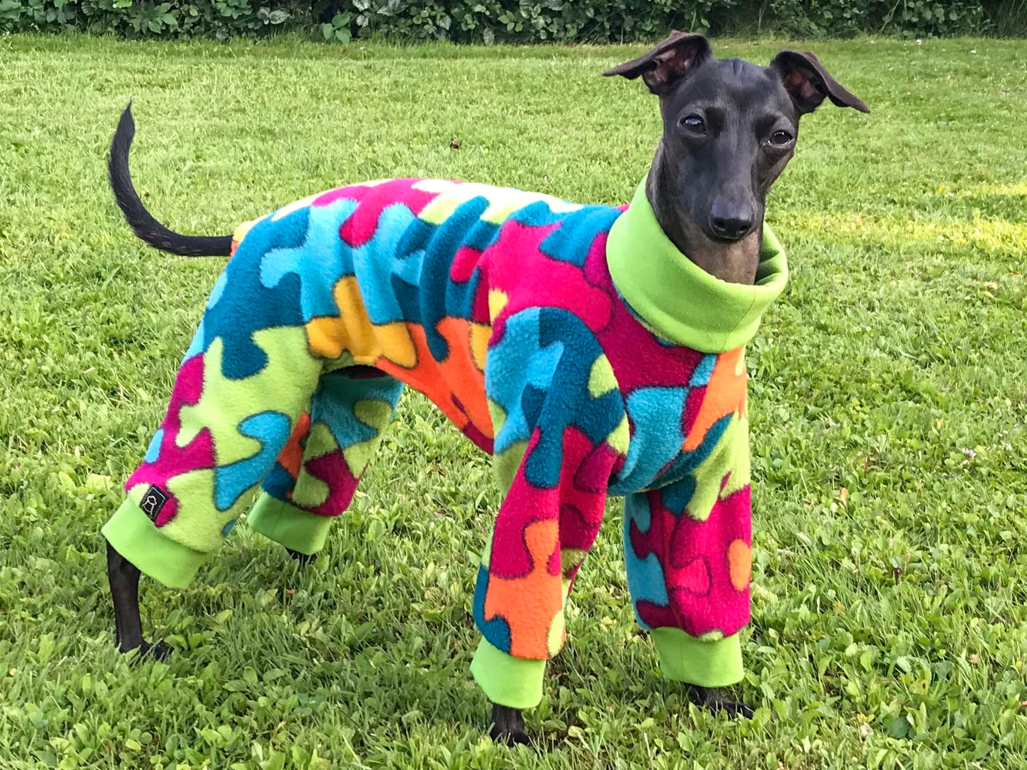 Italian clearance greyhound jammies