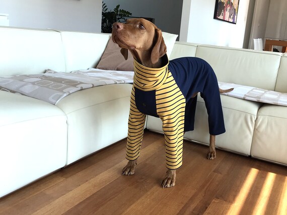 Vizsla sweater top