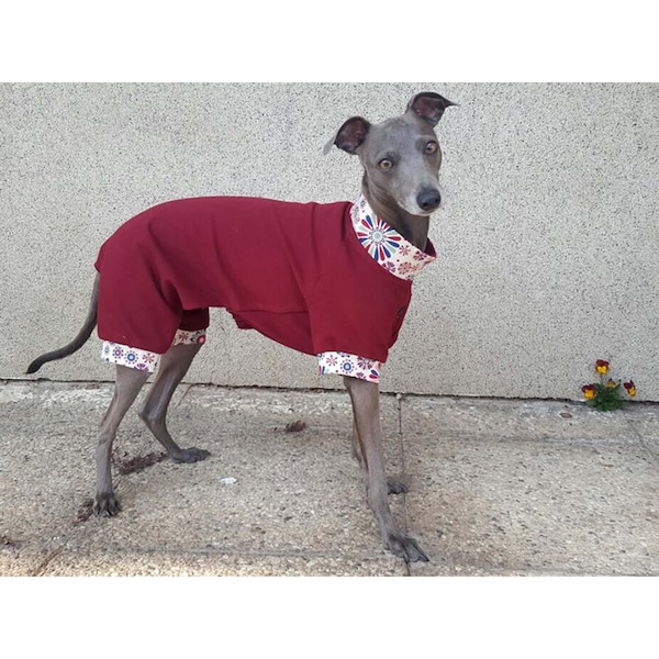 Italian Greyhound Pajamas,  Italian Greyhound Short Sleeves Pajamas, Italian Greyhound Sweater, Summer Dog Outfit, Short Sleeves Dog Outfit