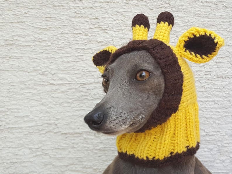 Giraffe Dog Hat / Giraffe Dog Snood / Knit Giraffe Dog Hat / Etsy