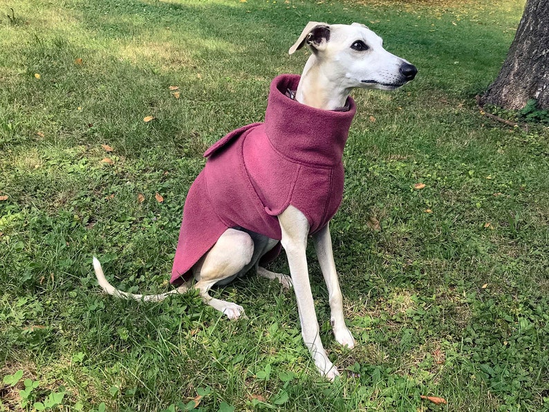 Whippet Fleece Coat, Whippet Coat, Dog Trench Coat, Fleece Dog Clothing, Spring / Autumn Dog Clothing image 3