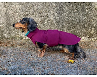 Dachshund Dog Winter Coat – Water- and Wind-Repellent Softshell with Micro Fleece Lining, Slim and Regular Fit