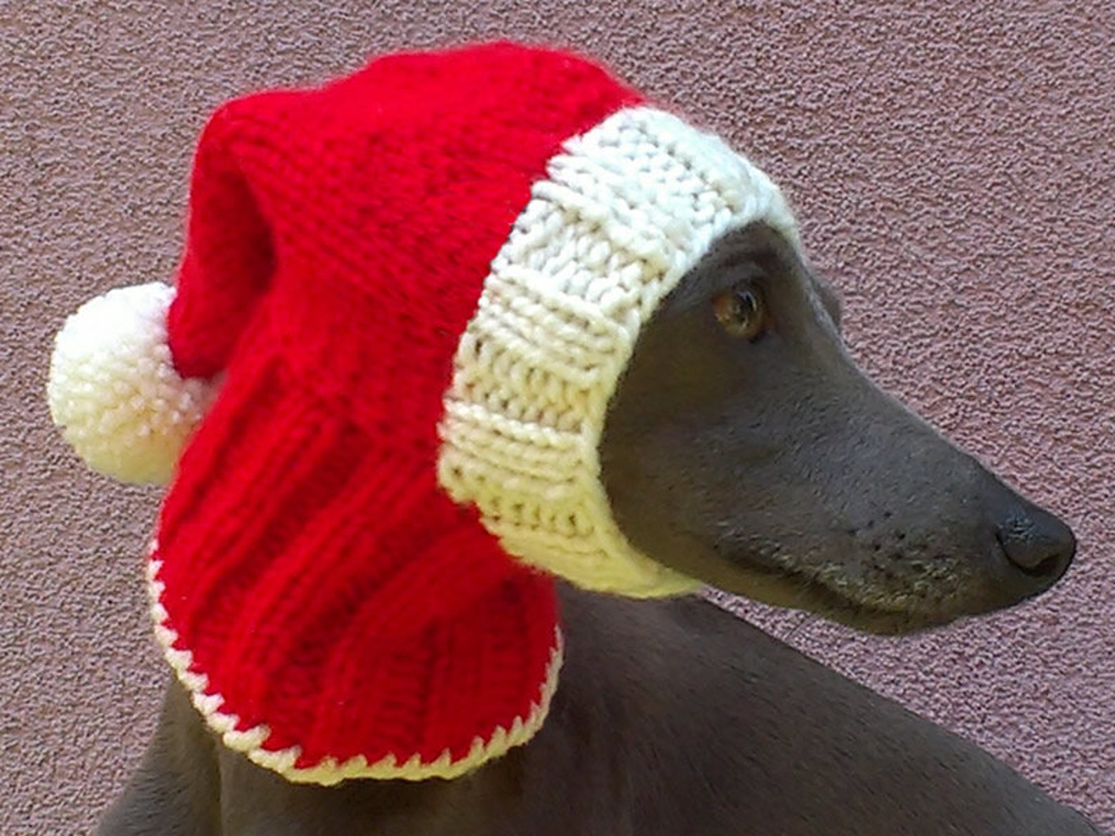 Santa Dog Hat / Christmas Dog Hat / Xmas Dog Hat /dog Hat / Etsy