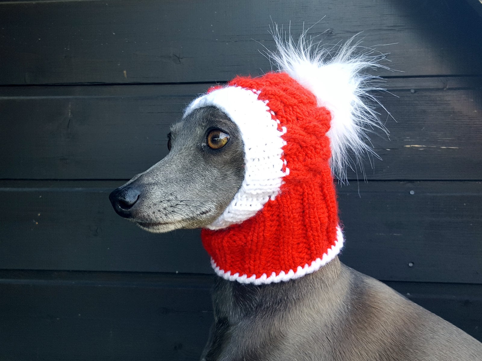 Santa Dog Hat / Christmas Dog Hat / Xmas Dog Hat /Dog Hat / Etsy