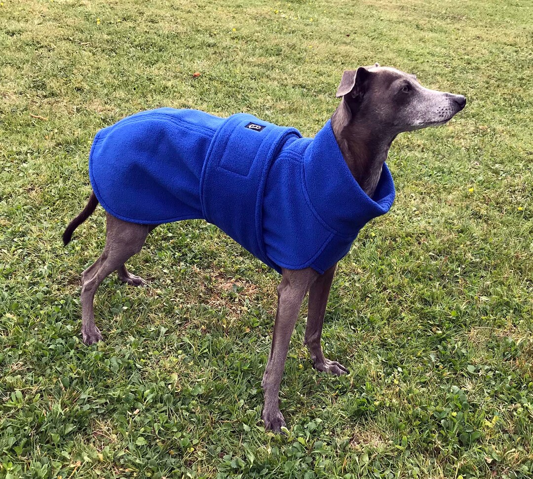 Italian Greyhound Coat Italian Greyhound Fleece Coat Dog Etsy