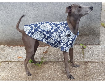 Italienisches Windhund Sommer Shirt. Italienisches Windhund-Denim-Hemd, Hundehemd mit Kragen, Baumwoll-Hundehemd, Vintage-Hundehemd, Barock