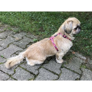 Dog Harness, Adjustable Dog Harness, Small Dog Harness